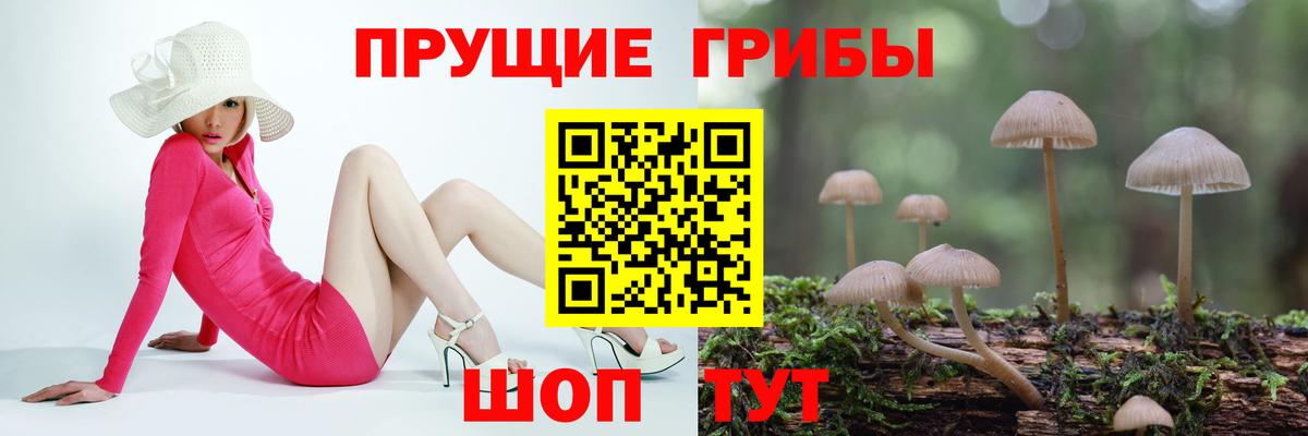 Псилоцибиновые грибы мухоморы  Вход с VPN  дарнет шоп  Батайск  Псилоцибиновые грибы Cubensis 